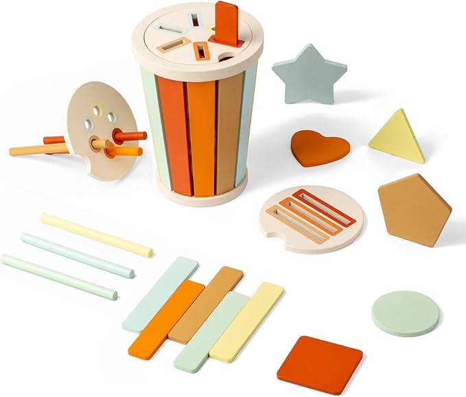 Montessori Toys for 1 Year Old Babies, Educational Color Sorting Sensory Toys for Kids Fine Motor Skills, Developmental Busy Toys for Toddlers 1-3 Girl Boy Early Learning