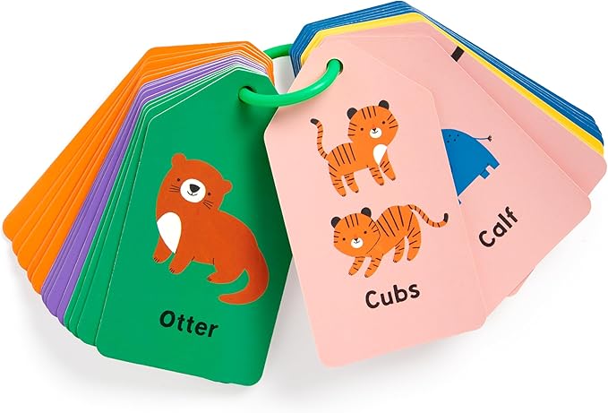 Mudpuppy Baby Animals — Ring Flashcards 26 Durable Double Sided Baby Animal Cards And Reclosable Ring With Colorful Art For Babies Ages 1+ Perfect For Preschool Or Travel For Teachers And Parents