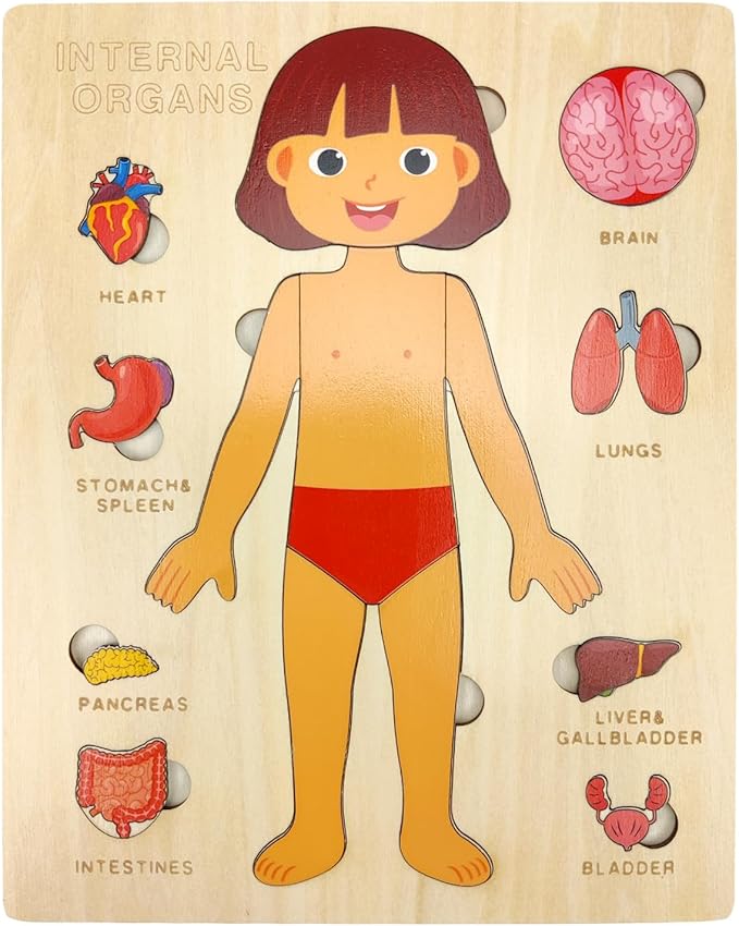 Wooden Body Puzzles for Kids, Toddler Montessori 14 Pieces Girl Anatomy Puzzle, Human Body Learning Toy with Internal Organs Early STEM Educational Toy for Boys and Girls Ages 3 4 5 6 Years Old