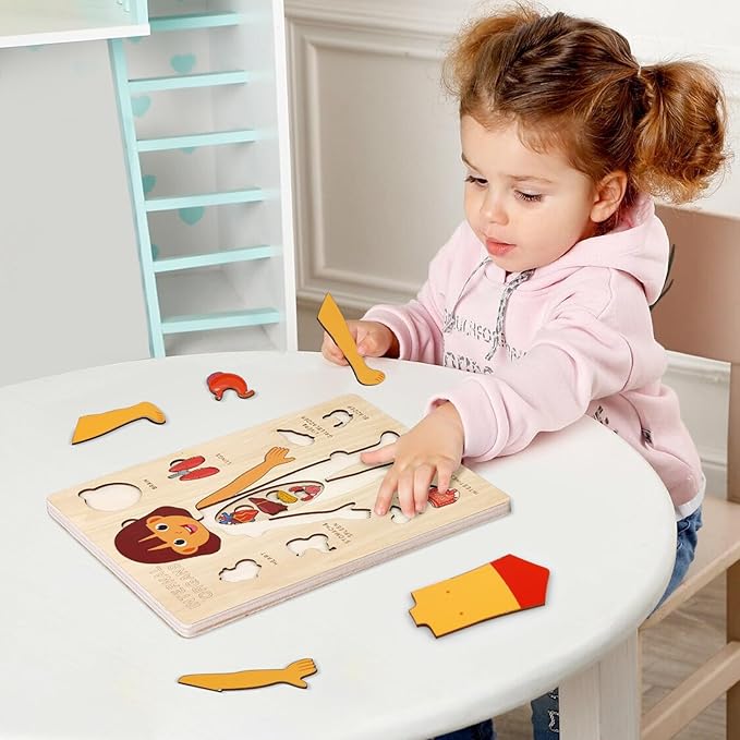 Wooden Body Puzzles for Kids, Toddler Montessori 14 Pieces Girl Anatomy Puzzle, Human Body Learning Toy with Internal Organs Early STEM Educational Toy for Boys and Girls Ages 3 4 5 6 Years Old