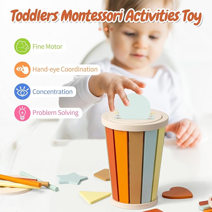 Montessori Toys for 1 Year Old Babies, Educational Color Sorting Sensory Toys for Kids Fine Motor Skills, Developmental Busy Toys for Toddlers 1-3 Girl Boy Early Learning