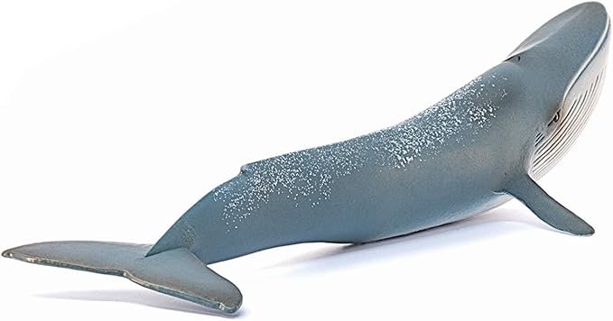 Schleich Wild Life Realistic Blue Whale Figurine - Authentic and Highly Detailed Aquatic Animal Toy, Durable for Education and Fun Play, Perfect for Boys and Girls, Ages 3+