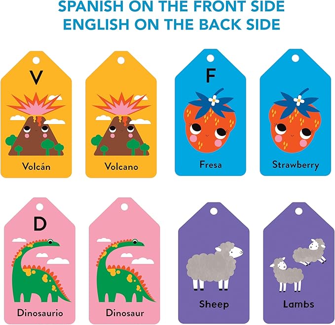 Mudpuppy Spanish English ABC — Ring Flashcards 26 Double Sided Bilingual Alphabet Cards Reclosable Ring With Colorful Art For Ages 1+ Perfect For Preschool Or Travel For Teachers And Parents