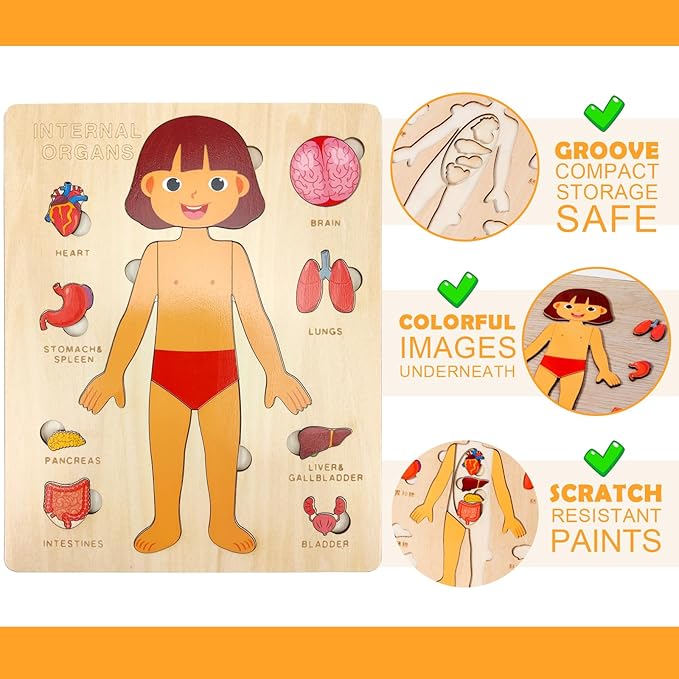 Wooden Body Puzzles for Kids, Toddler Montessori 14 Pieces Girl Anatomy Puzzle, Human Body Learning Toy with Internal Organs Early STEM Educational Toy for Boys and Girls Ages 3 4 5 6 Years Old