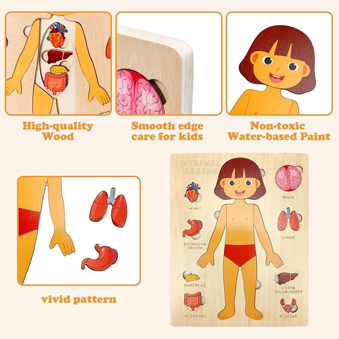 Wooden Body Puzzles for Kids, Toddler Montessori 14 Pieces Girl Anatomy Puzzle, Human Body Learning Toy with Internal Organs Early STEM Educational Toy for Boys and Girls Ages 3 4 5 6 Years Old