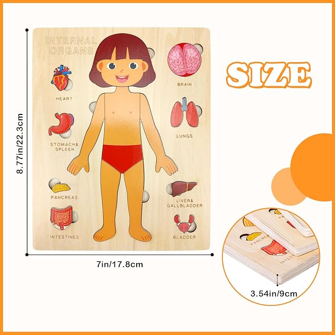 Wooden Body Puzzles for Kids, Toddler Montessori 14 Pieces Girl Anatomy Puzzle, Human Body Learning Toy with Internal Organs Early STEM Educational Toy for Boys and Girls Ages 3 4 5 6 Years Old