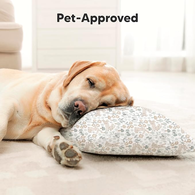 Toddler Pillow with Pillowcase - 13x18 My Little Dreamy Pillow, Organic Cotton Toddler Pillows for Sleeping, Kids Pillow, Travel Pillows, Mini Pillow, Nursery Pillow, Toddler Bed Pillow (Escapade)