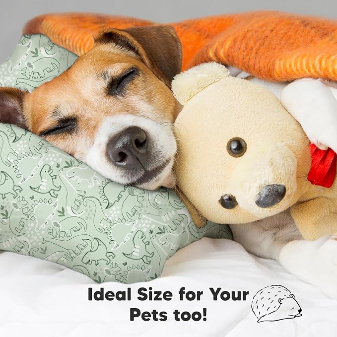 Toddler Pillow with Pillowcase - 13x18 My Little Dreamy Pillow, Organic Cotton Toddler Pillows for Sleeping, Kids Pillow, Travel Pillows, Mini Pillow, Nursery Pillow, Toddler Bed Pillow (DinoDood)