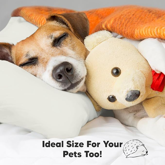 Toddler Pillow with Pillowcase - 13x18 My Little Dreamy Pillow, Organic Cotton Toddler Pillows for Sleeping, Kids Pillow, Travel Pillows, Mini Pillow, Nursery Pillow, Toddler Bed Pillow (Pearl Gray)