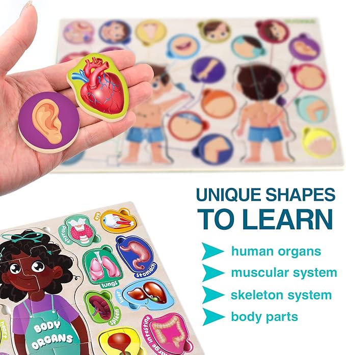 QUOKKA Wooden Puzzles for Kids Ages 18+ Months in a Bag – Montessori Toddlers Puzzles Ages 1-2 – Preschool Game to Learn Human Body Parts Anatomy Skeleton – Educational Toys for Boy & Girl