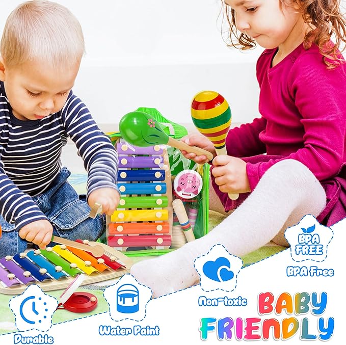 Kids Musical Instruments, 12pcs Wooden Musical Toys for Toddlers 2-4 with Xylophone Maracas Tambourine, Educational Baby Musical Toys Birthday Gift for 2 3 4 5 Years Old Girls Boys