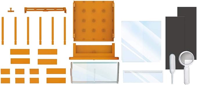 4M Green Science Grow A Maze Kit, Build A Plant Maze Science Kit, For Boys & Girls Ages 5+ , 5 x 4 nches