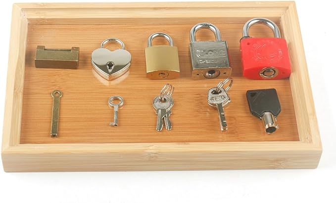 MEROCO Lock and Key with Wood Tray Set Fine Motor Skill Sorting Learning Toys Travel Games for Toddlers 3-5 Years