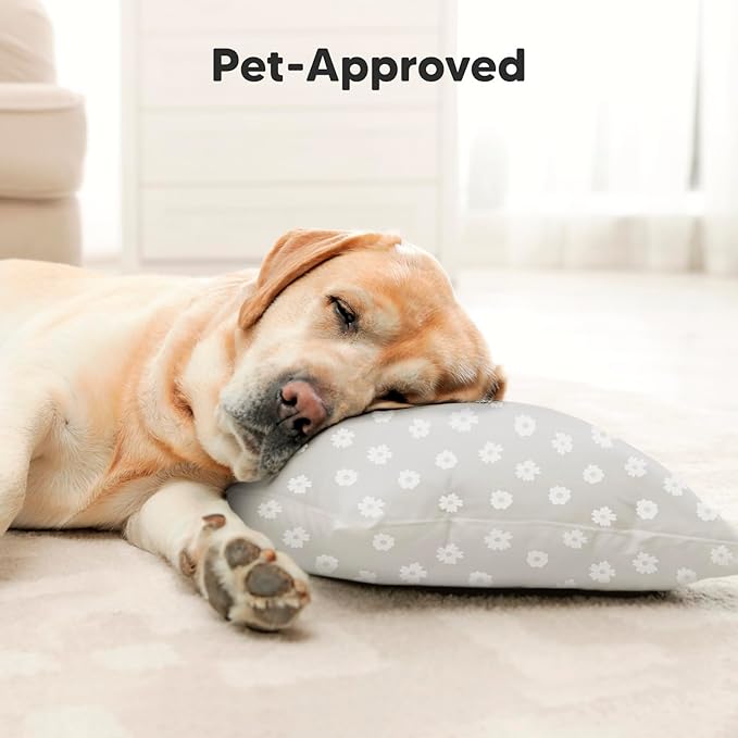 Toddler Pillow with Pillowcase - 13x18 My Little Dreamy Pillow, Organic Cotton Toddler Pillows for Sleeping, Kids Pillow, Travel Pillows, Mini Pillow, Nursery Pillow, Toddler Bed Pillow (Meadow)