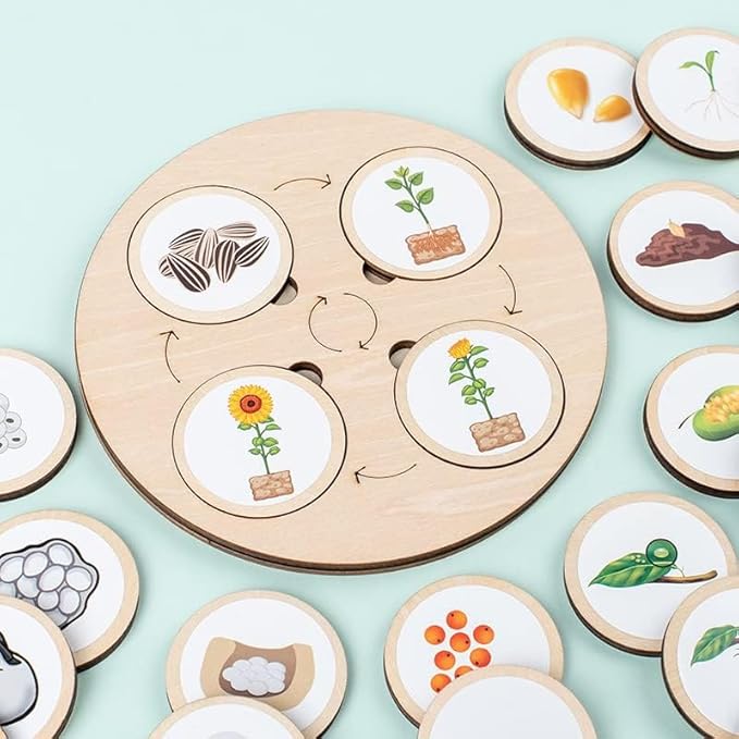 Wooden Life Cycle Toy Tray for Kids, Learning & Educational Toys Puzzles for Toddler, Montessori Homeschool Preschool Science Learning Activities Toys for Age 3 4 5 6 7 8+