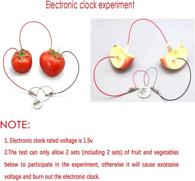 5 Sets Fruit Battery Science Experiment Kit for Home Teaching Toy, Orange Lemon Potato Battery Physics Teaching Experiment with Electronic Clock Educational Toy for Students