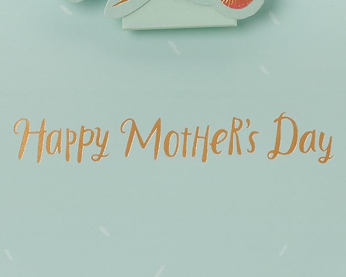 American Greetings Mothers Day Card from Son and Daughter-in-Law (Straight from Our Hearts)