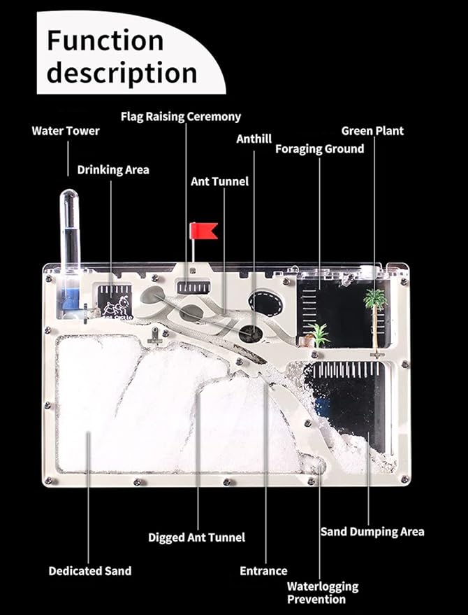 Ant Farming Castle, Habitat Science Learning Kit, Farms for Live Ants, Colony Educational Toy Kit Kids