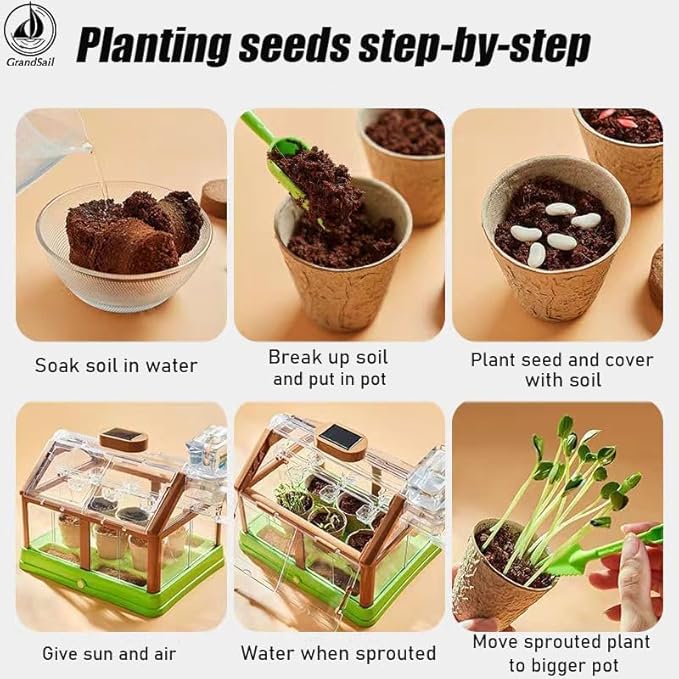 Kids Plant Growing Kit: Terrarium Kit for Kids,Science STEM Toy & Craft Growing Kits for Ages 4-8 Birthday Easter Gifts for Girls 4, 5, 6, 7, 8, Year Old - Gardening Set Toys