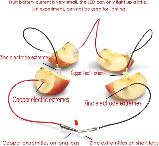 3 Sets Fruit Battery Science Experiment Kit for Home Teaching Toy, Orange Lemon Potato Battery Physics Teaching Experiment with Electronic Clock Educational Toy for Students