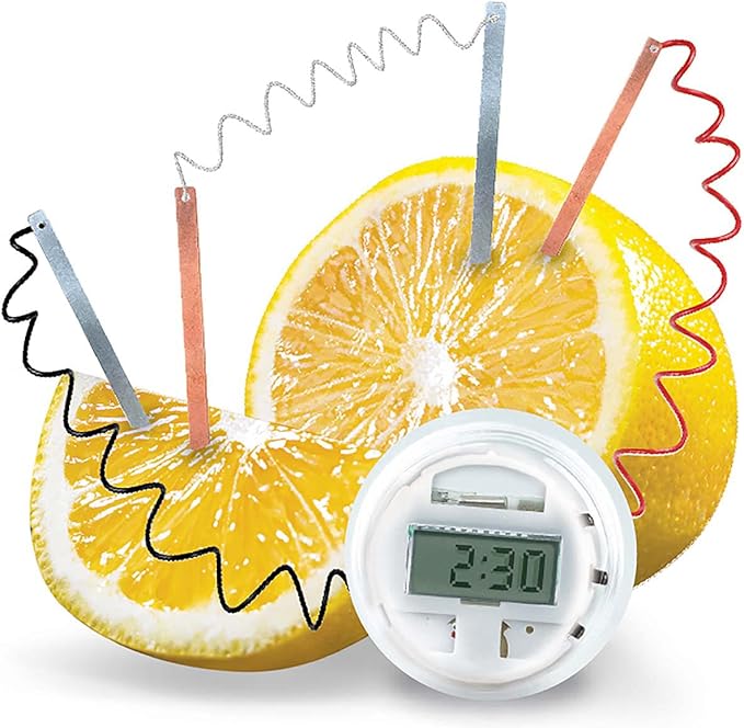 4M Kidzlabs Lemon Powered Clock, Chemical Electrical Science Lab Experiment - STEM Toys Educational Gift for Kids & Teens, Girls & Boys 12 Count (Pack of 1)