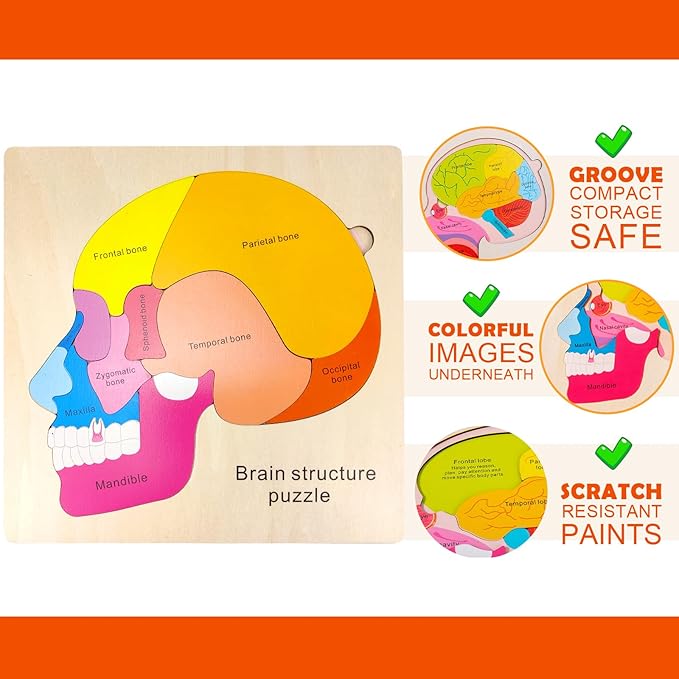 Wooden Brain Anatomy Puzzles for Kids, Toddler Montessori 16 Pieces Brain Structure Puzzle, 3-Layer Human Brain Parts Learning Early STEM Educational Toy for Boys and Girls Ages 3 4 5 6 Years Old