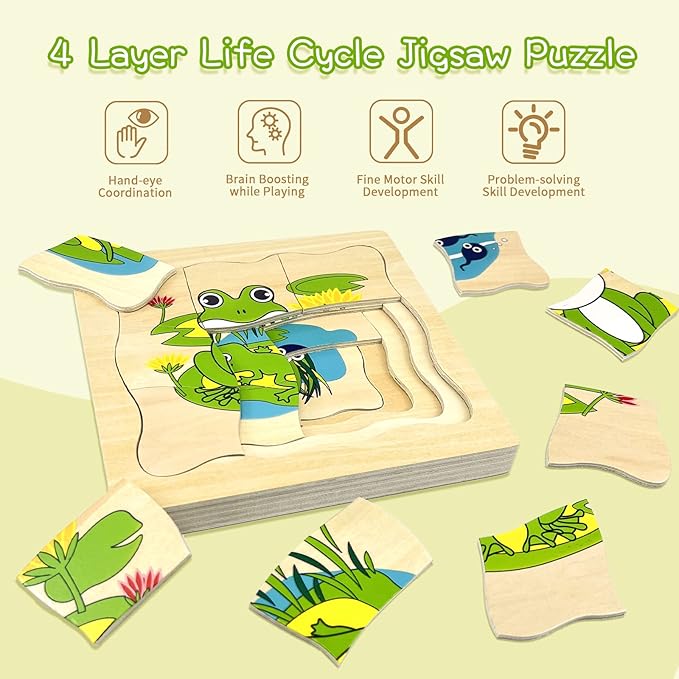 Montessori Wooden Puzzles for Kids Ages 4-8, 4 Layer Life Cycle Jigsaw Puzzle for Toddlers, Children Preschool Learning Educational Puzzles Toys for Boys and Girls (Frog)