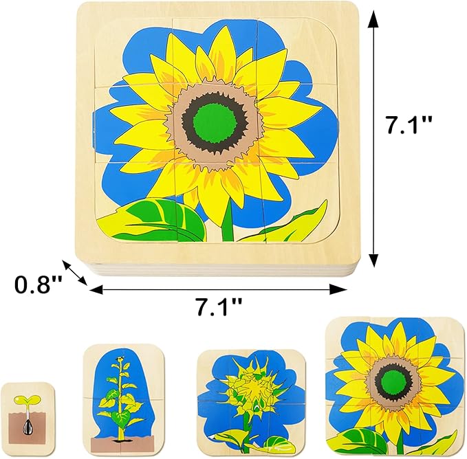 Montessori Wooden Puzzles for Kids Ages 4-8, 4 Layer Life Cycle of Sunflower Jigsaw Puzzle for Toddlers, Children Preschool Learning Educational Puzzles Toys for Boys and Girls (Sunflower)