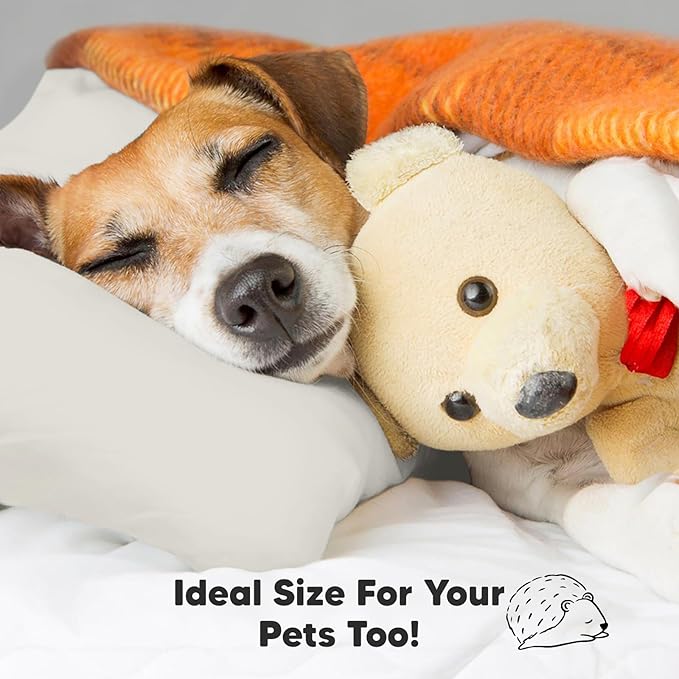 Toddler Pillow with Pillowcase - 13x18 My Little Dreamy Pillow, Organic Cotton Toddler Pillows for Sleeping, Kids Pillow, Travel Pillows, Mini Pillow, Nursery Pillow, Toddler Bed Pillow (Clay)