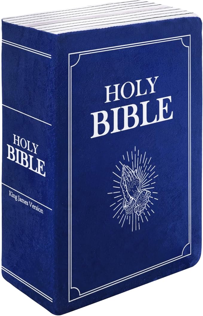 Children's Cartoon Plush Toy Throw Pillows, Christmas holiday Bible Book Pillow that Opens, Home Aesthetic Room Decorative Pillow, Kids Pillow, for Bedroom Sofa Cushion Chair Couch Bed (Blue)