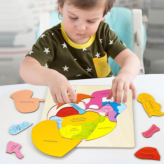 Wooden Brain Anatomy Puzzles for Kids, Toddler Montessori 16 Pieces Brain Structure Puzzle, 3-Layer Human Brain Parts Learning Early STEM Educational Toy for Boys and Girls Ages 3 4 5 6 Years Old