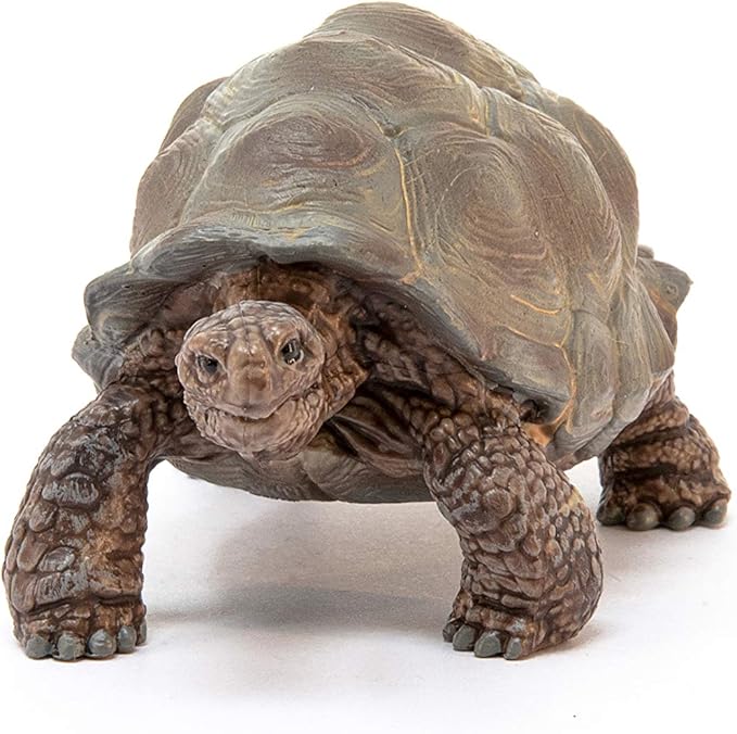 Schleich Wild Life Realistic Exotic Galapagos Giant Tortoise Figurine - Wild Animal Figurine Giant Tortoise Toy for Wildlife Play and Imagination for Toddlers Boys and Girls, Gift for Kids Age 3+