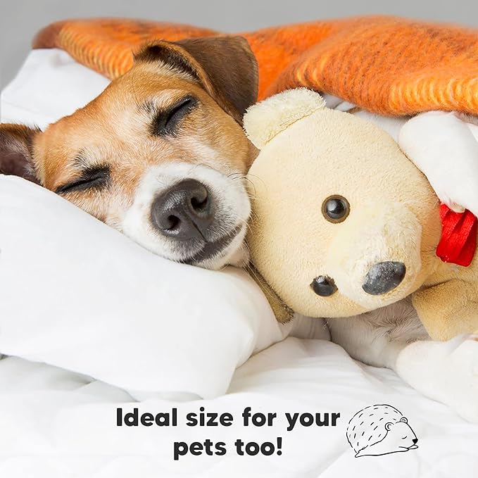 Toddler Pillow with Pillowcase - 13x18 My Little Dreamy Pillow, Organic Cotton Toddler Pillows for Sleeping, Kids Pillow, Travel Pillows, Mini Pillow, Nursery Pillow, Toddler Bed Pillow (Soft White)