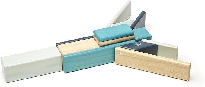 14 Piece Tegu Magnetic Wooden Block Set, Blues