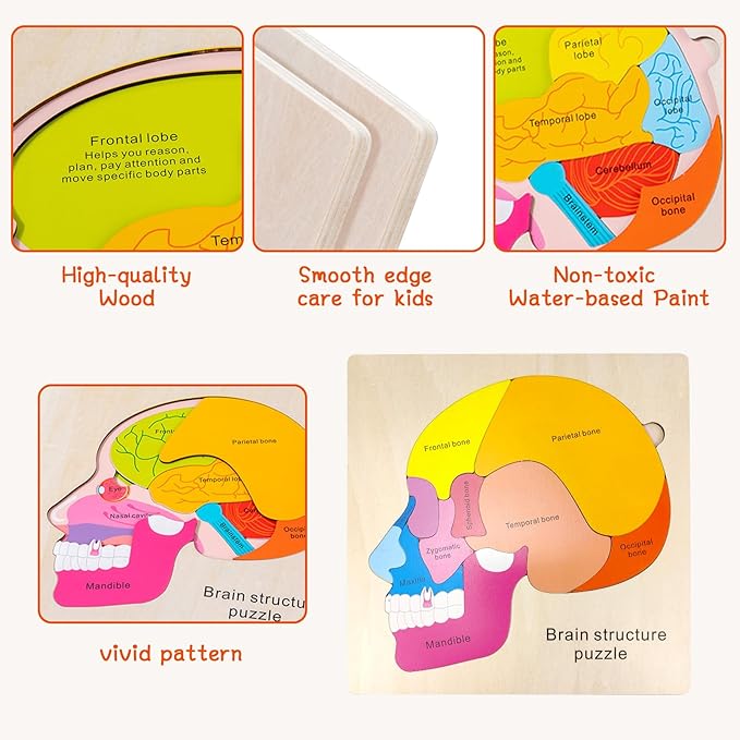 Wooden Brain Anatomy Puzzles for Kids, Toddler Montessori 16 Pieces Brain Structure Puzzle, 3-Layer Human Brain Parts Learning Early STEM Educational Toy for Boys and Girls Ages 3 4 5 6 Years Old