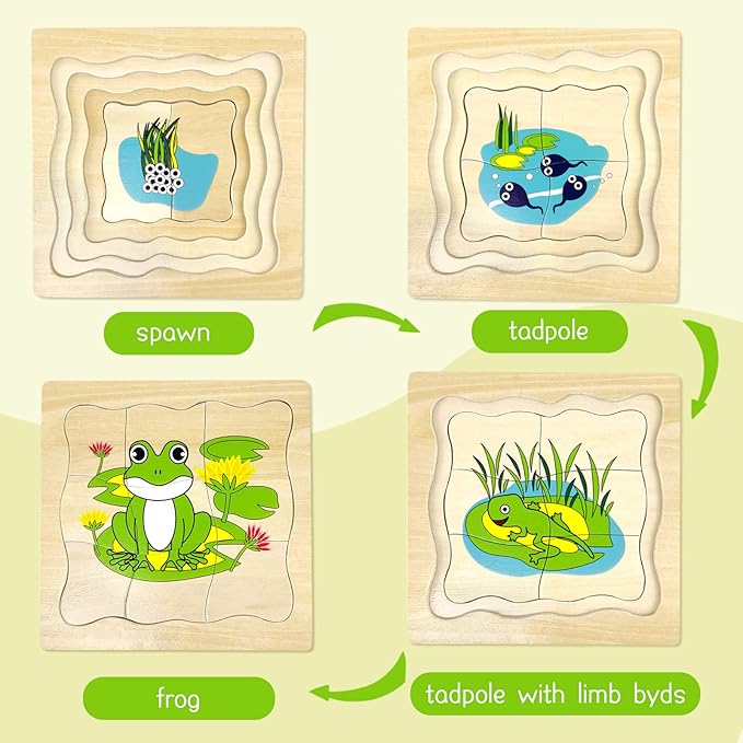 Montessori Wooden Puzzles for Kids Ages 4-8, 4 Layer Life Cycle Jigsaw Puzzle for Toddlers, Children Preschool Learning Educational Puzzles Toys for Boys and Girls (Frog)