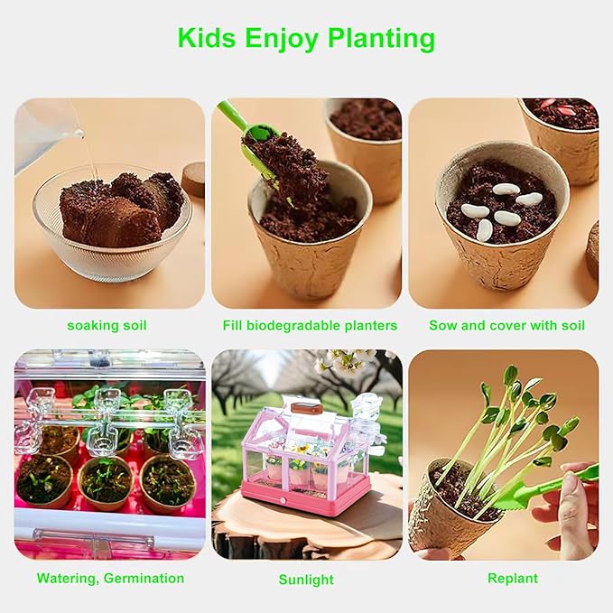 Kids Plant Growing Kit Greenhouse Growing Set Terrarium Kit Kids Science Educational DIY Plant Gardening Toy, Living Greenhouse with Solar Panel, Indoor Gardening Kit