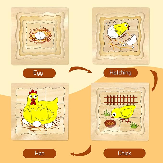 Montessori Wooden Puzzles for Kids Ages 4-8, 4 Layer Life Cycle Jigsaw Puzzle for Toddlers, Children Preschool Learning Educational Puzzles Toys for Boys and Girls (Chicken)