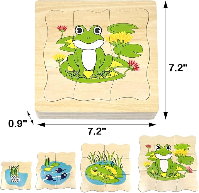 Montessori Wooden Puzzles for Kids Ages 4-8, 4 Layer Life Cycle Jigsaw Puzzle for Toddlers, Children Preschool Learning Educational Puzzles Toys for Boys and Girls (Frog)