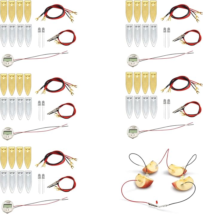 5 Sets Fruit Battery Science Experiment Kit for Home Teaching Toy, Orange Lemon Potato Battery Physics Teaching Experiment with Electronic Clock Educational Toy for Students