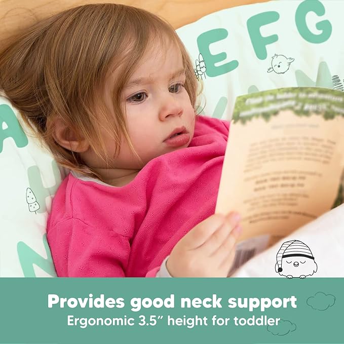 Toddler Pillow with Pillowcase - 13x18 My Little Dreamy Pillow, Organic Cotton Toddler Pillows for Sleeping, Kids Pillow, Travel Pillows, Mini Pillow, Nursery Pillow, Toddler Bed Pillow (KeaABC Mint)