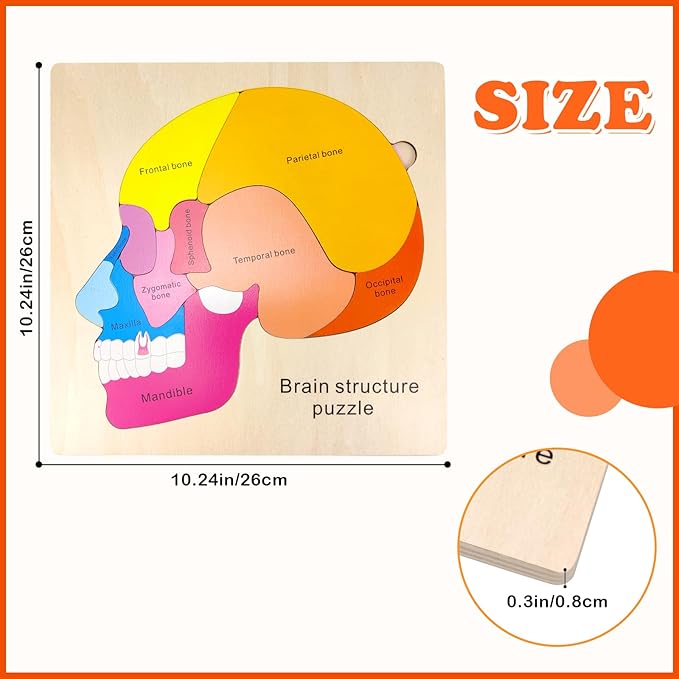 Wooden Brain Anatomy Puzzles for Kids, Toddler Montessori 16 Pieces Brain Structure Puzzle, 3-Layer Human Brain Parts Learning Early STEM Educational Toy for Boys and Girls Ages 3 4 5 6 Years Old