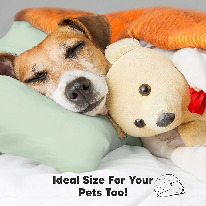 Toddler Pillow with Pillowcase - 13x18 My Little Dreamy Pillow, Organic Cotton Toddler Pillows for Sleeping, Kids Pillow, Travel Pillows, Mini Pillow, Nursery Pillow, Toddler Bed Pillow (Sage)