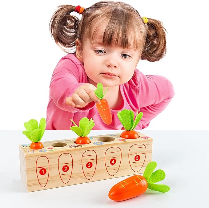 Xylolin Montessori Toys for Toddlers 1-3, Carrots Shapes Sorting and Matching Game Wooden Toys, Fine Motor Skill Early Learning Preschool Educational Toys Gifts for 1 2 3 Year Old Boys Girls