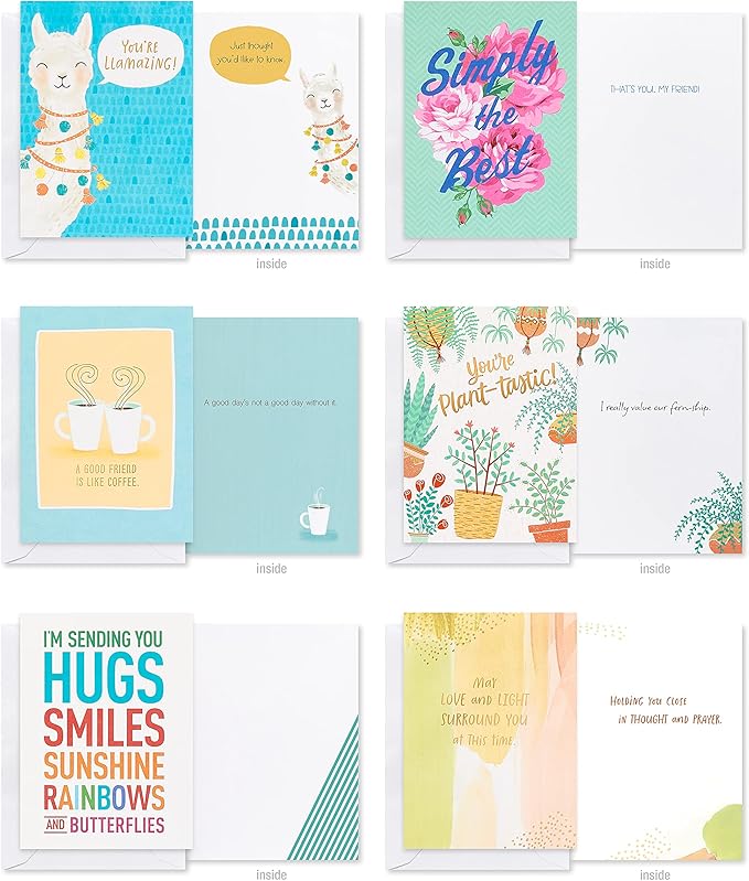 American Greetings Deluxe All Occasion Cards with Envelopes - Birthday, Thanks, Congrats and More (40-Count)