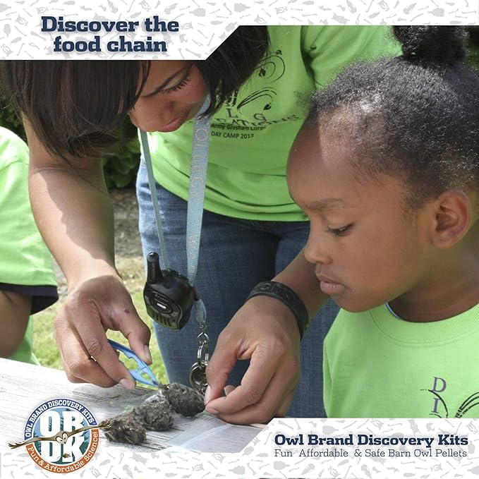 OBDK Barn Owl Pellets for Dissection - 1 Pack Jumbo Sized (2.0"-Larger) with Tools, Guide and Charts from Owl Brand Discovery Kits