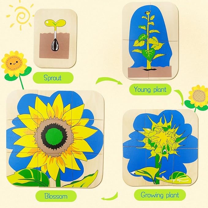 Montessori Wooden Puzzles for Kids Ages 4-8, 4 Layer Life Cycle of Sunflower Jigsaw Puzzle for Toddlers, Children Preschool Learning Educational Puzzles Toys for Boys and Girls (Sunflower)