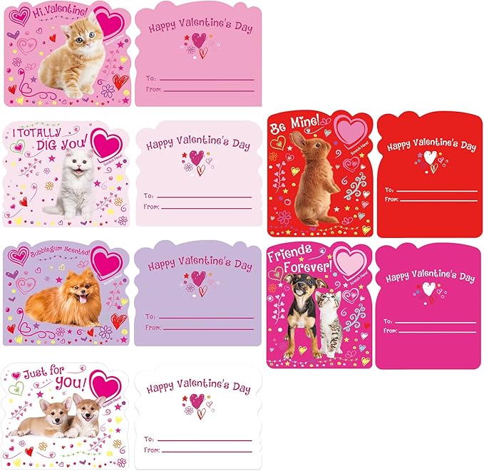 234 Pack Valentine's Day Party Favors Supplies Gift Exchage Cards Heart Glasses Bracelets Heart Stickers Stamper Sticky Hands Tattoo Bulk for Kids School Classroom Rewards Prizes Birthday Goodie Bags