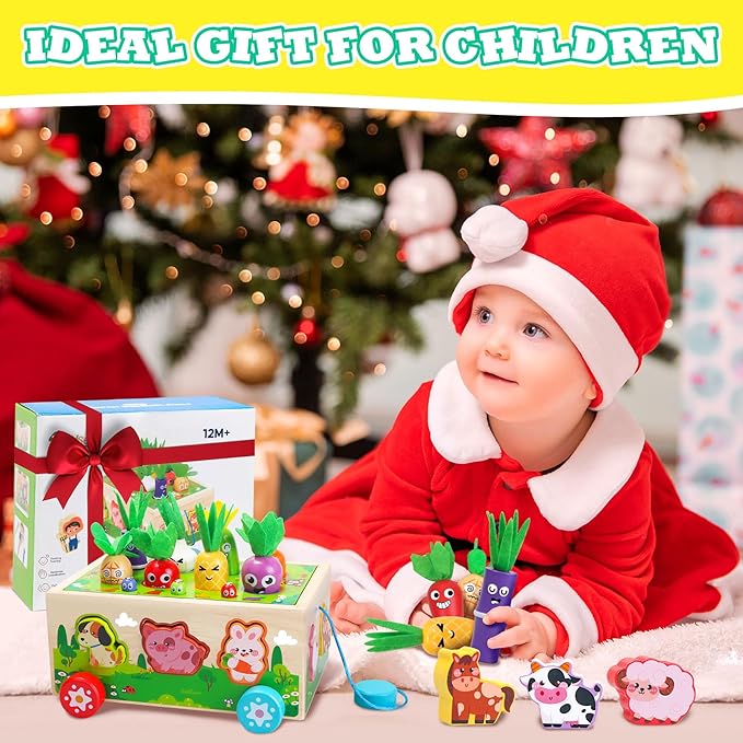 Montessori Toys for 1 2 3 Year Old Girls Boys|Wooden Learning Educational Toys for Toddlers 1-3|Shape Sorting Toys with Game Map|Wood Animal Farm Baby Toys for Baby 1+ 1-2 First Birthday Girl Gifts