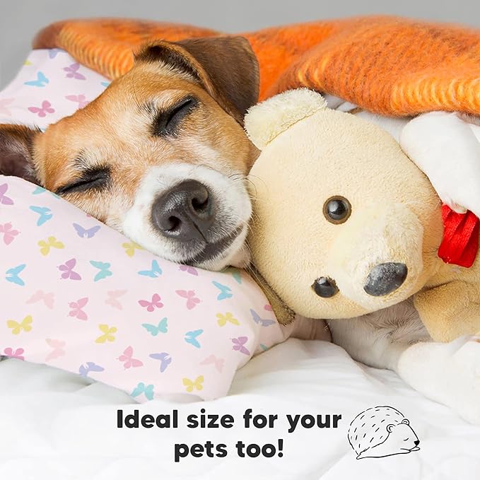 Toddler Pillow with Pillowcase - 13x18 My Little Dreamy Pillow, Organic Cotton Toddler Pillows for Sleeping, Kids Pillow, Travel Pillows, Mini Pillow, Nursery Pillow, Toddler Bed Pillow (Flutter)